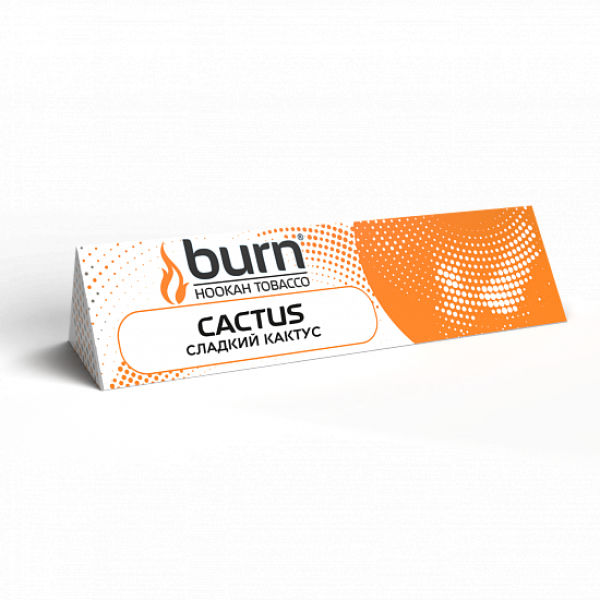 Табак BURN CACTUS 25 грамм в Краснодаре