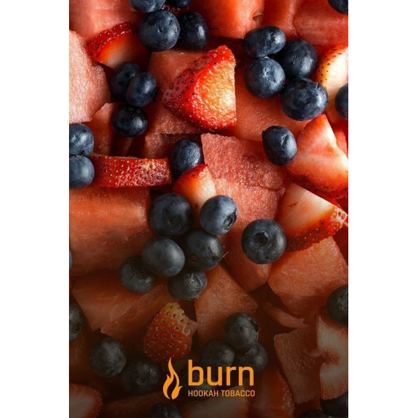 Табак Burn Berried Treasure 100 грамм в Краснодаре