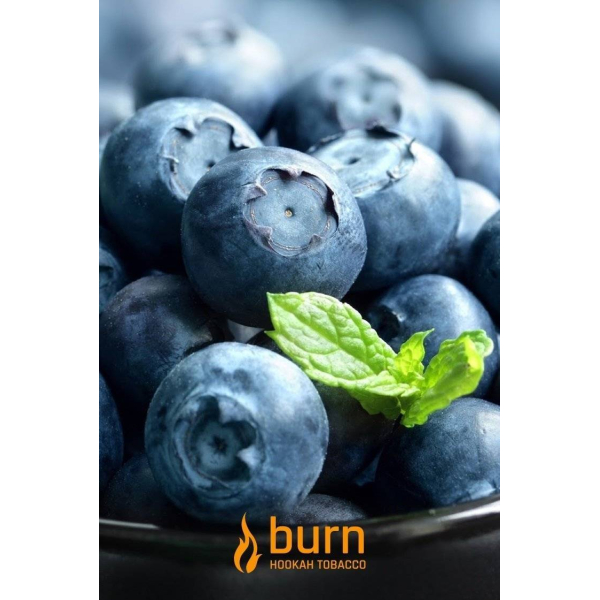 Табак Burn Blueberry Mint 100 грамм в Краснодаре
