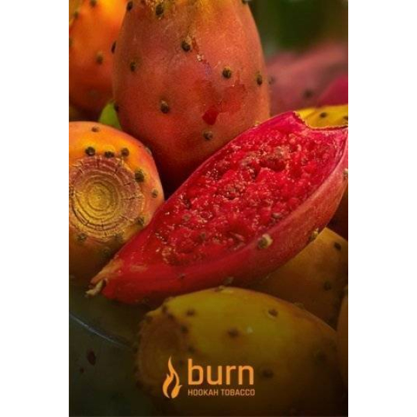 Табак Burn Cactus 100 грамм в Краснодаре