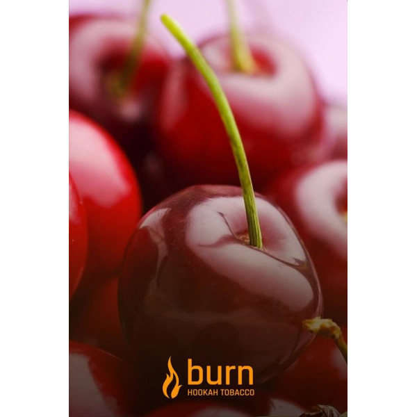 Табак Burn Candy Cherry 100 грамм в Краснодаре