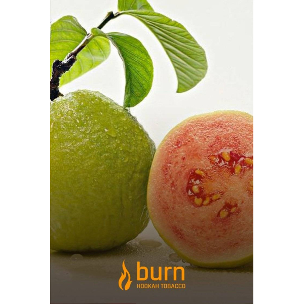 Табак Burn Guava 100 грамм в Краснодаре