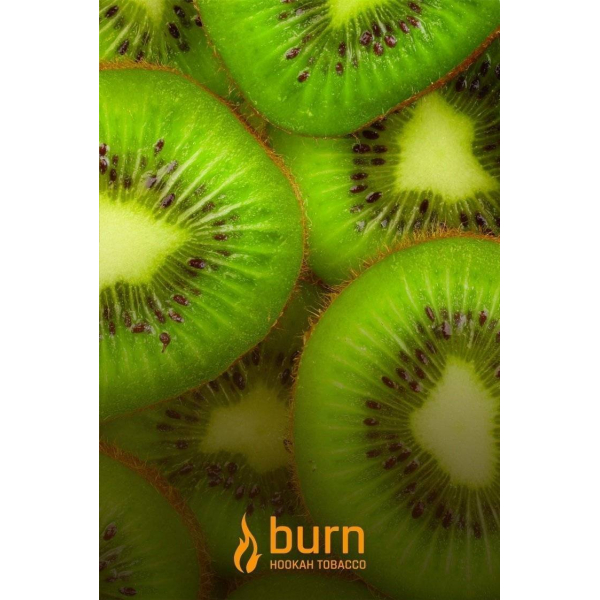 Табак Burn Kiwi 100 грамм в Краснодаре