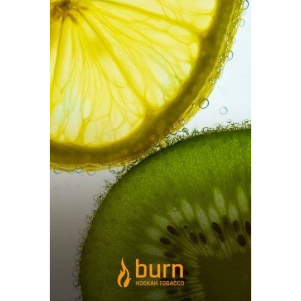 Табак Burn Kiwi Lemon 100 грамм в Краснодаре