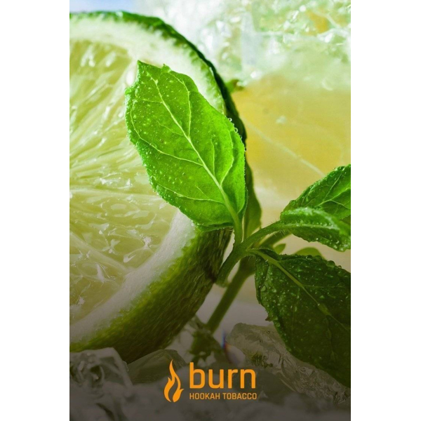 Табак Burn Lemon Mint 100 грамм в Краснодаре