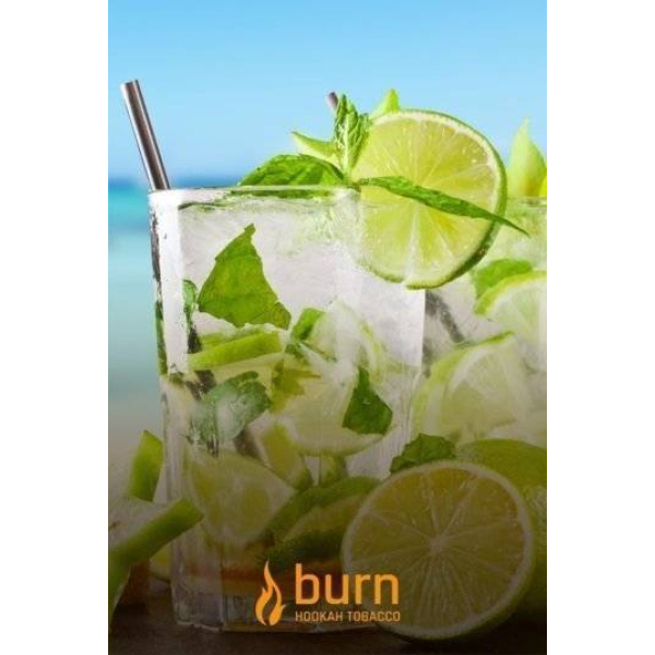 Табак Burn Mojito 100 грамм в Краснодаре