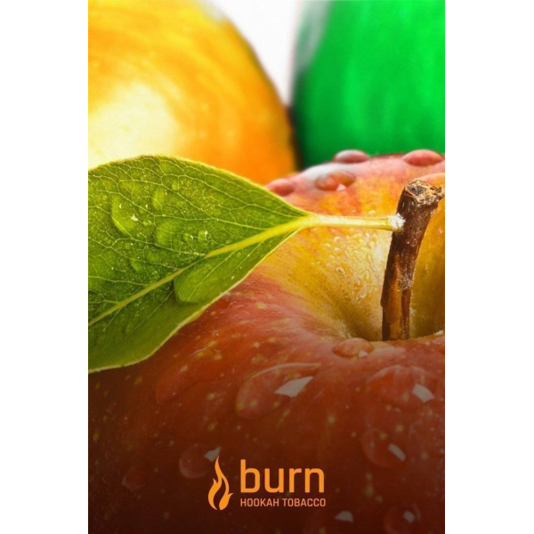 Табак Burn Three Apples 100 грамм в Краснодаре