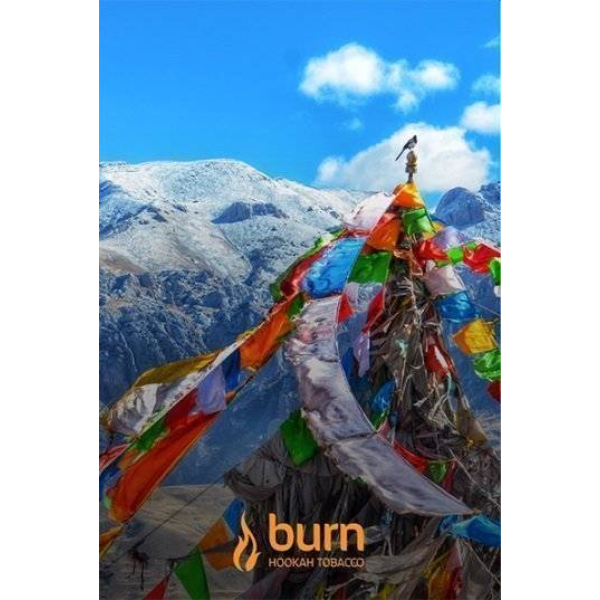 Табак Burn Tibet 100 грамм в Краснодаре