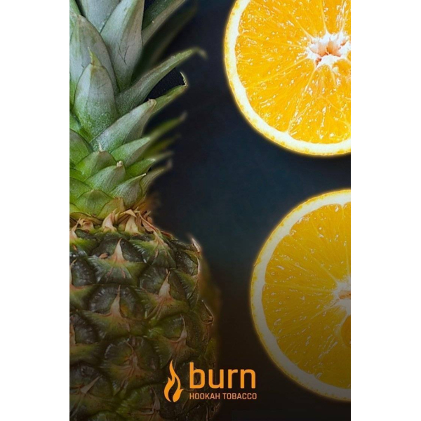 Табак Burn White Night 100 грамм в Краснодаре