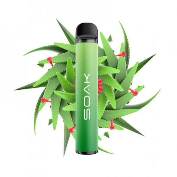 SOAK X Aloe Vera (Алое Вера), 1500 тяг в Краснодаре