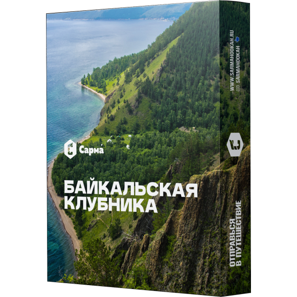 Табак Сарма Байкальская Клубника 25 гр в Краснодаре