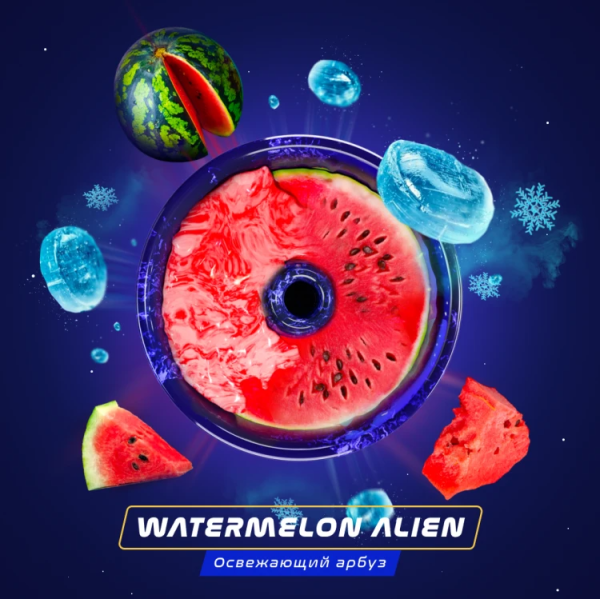 Паста Space Smoke BASIC Watermelon  Alien (Арбуз с  холодком) 30 гр в Краснодаре