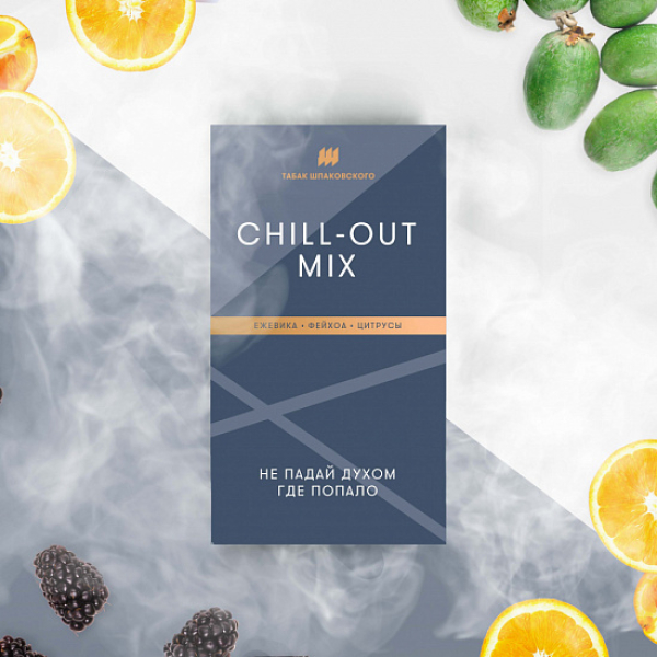 Табак Шпаковского Chill Out (Ежевика Фейхоа Цитрусы) 40 грамм в Краснодаре