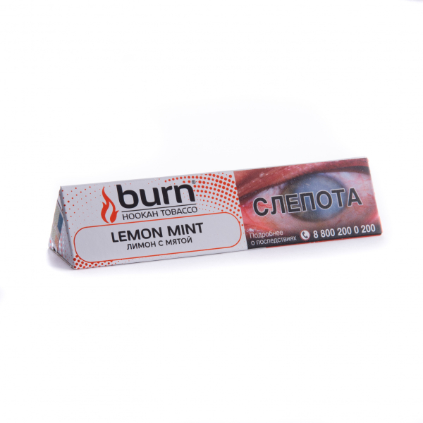 Табак Burn Lemon Mint  25 грамм в Краснодаре