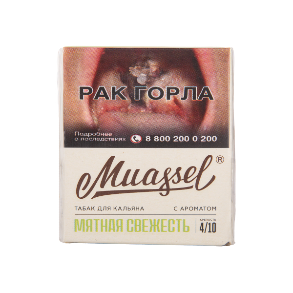 Табак Muassel Medium Мятная Свежесть 40 грамм в Краснодаре